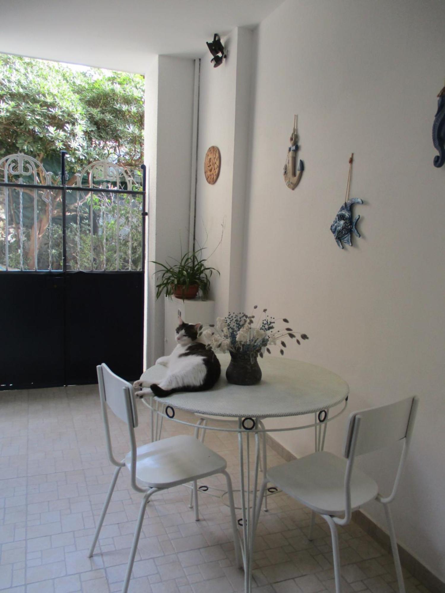 La Casa Del Nespolo Tranquillo Alloggio Vicino Alla Stazione Sanremo Exterior photo